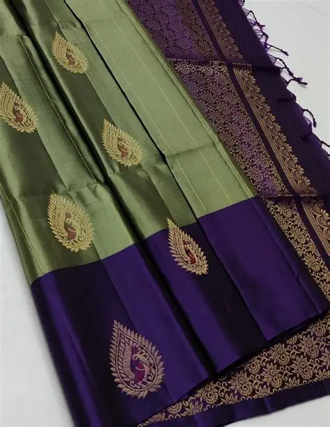 Saree Without Border