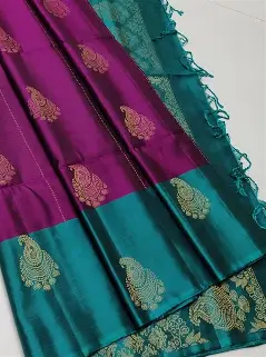 Saree Without Border